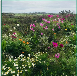 Farm250 Fermin8&reg; Growing Trial