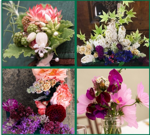 Flowers Grown in Fermin8&reg;