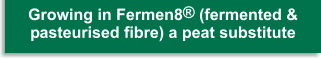 Title: Growing in Fermen8&reg; (fermented and pasteurised fibre) a peat substitute