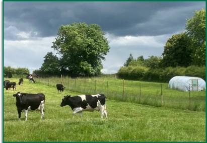 Manure to Fermen8&reg;